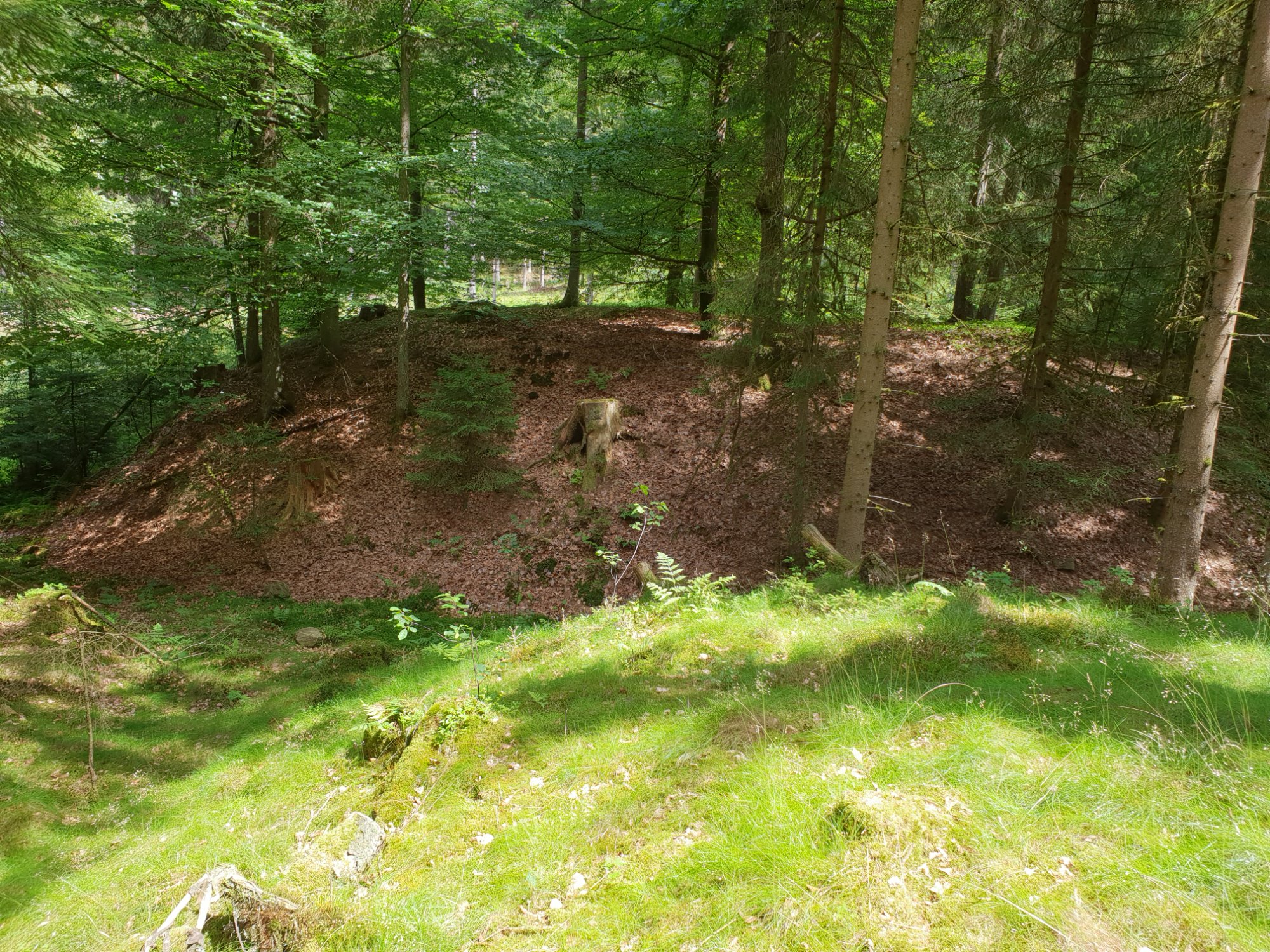 Turmhügel des Alten Schlosses bei Kathragrub